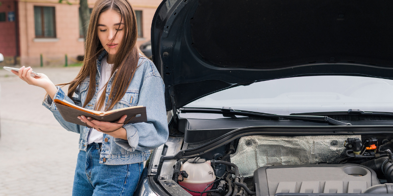 Is Car Insurance Cheaper in South Carolina Than Florida?
